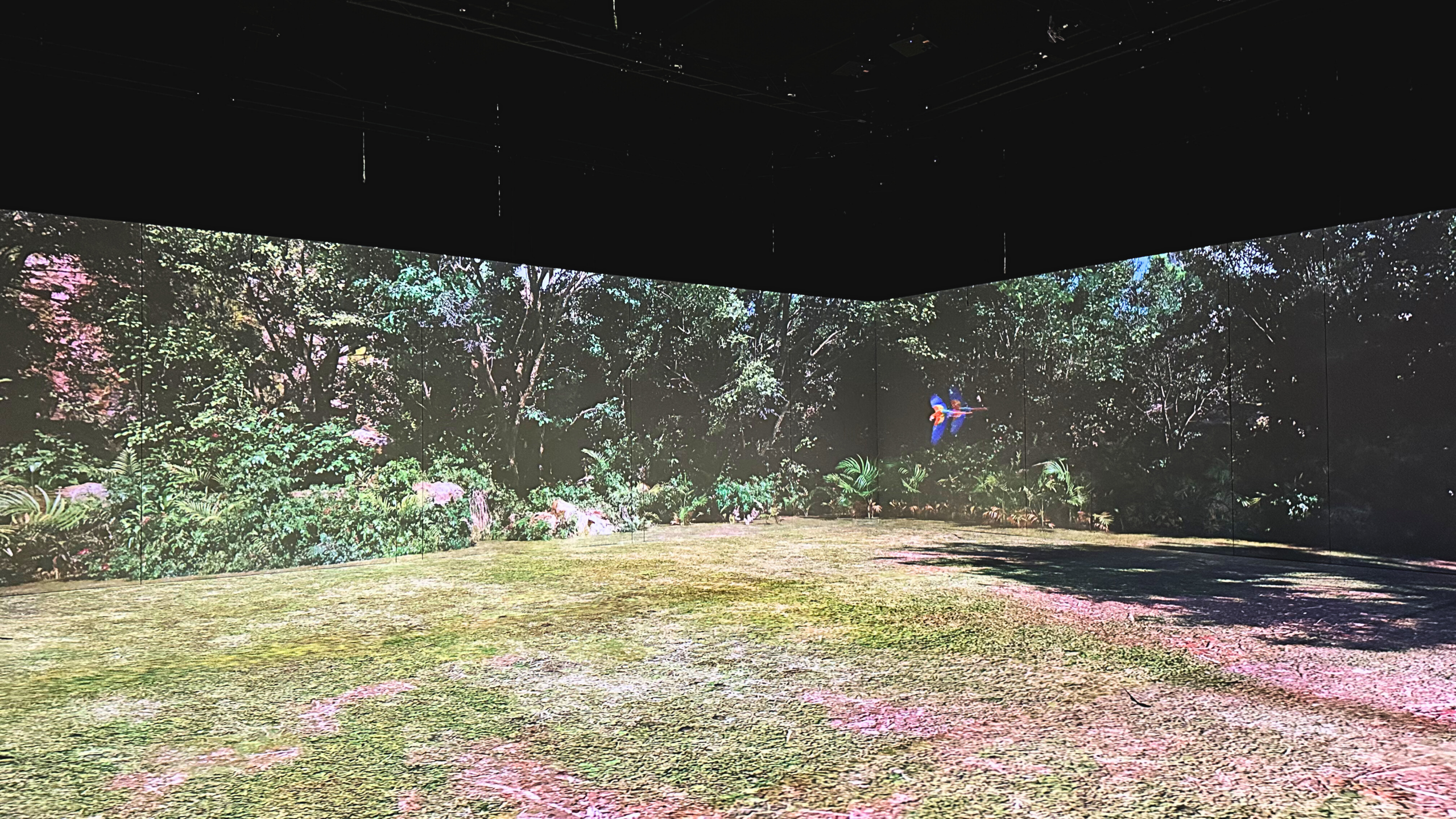 Nueva Sala Inmersiva en Cartuja Center CITE: un nuevo entorno audiovisual con tecnología Meyer Sound 